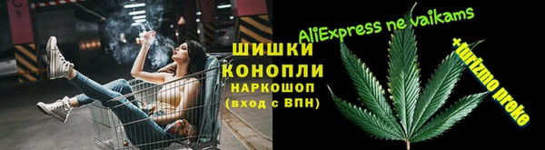 mdpv Заводоуковск