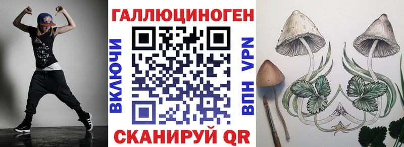Псилоцибиновые грибы Cubensis  Малмыж 